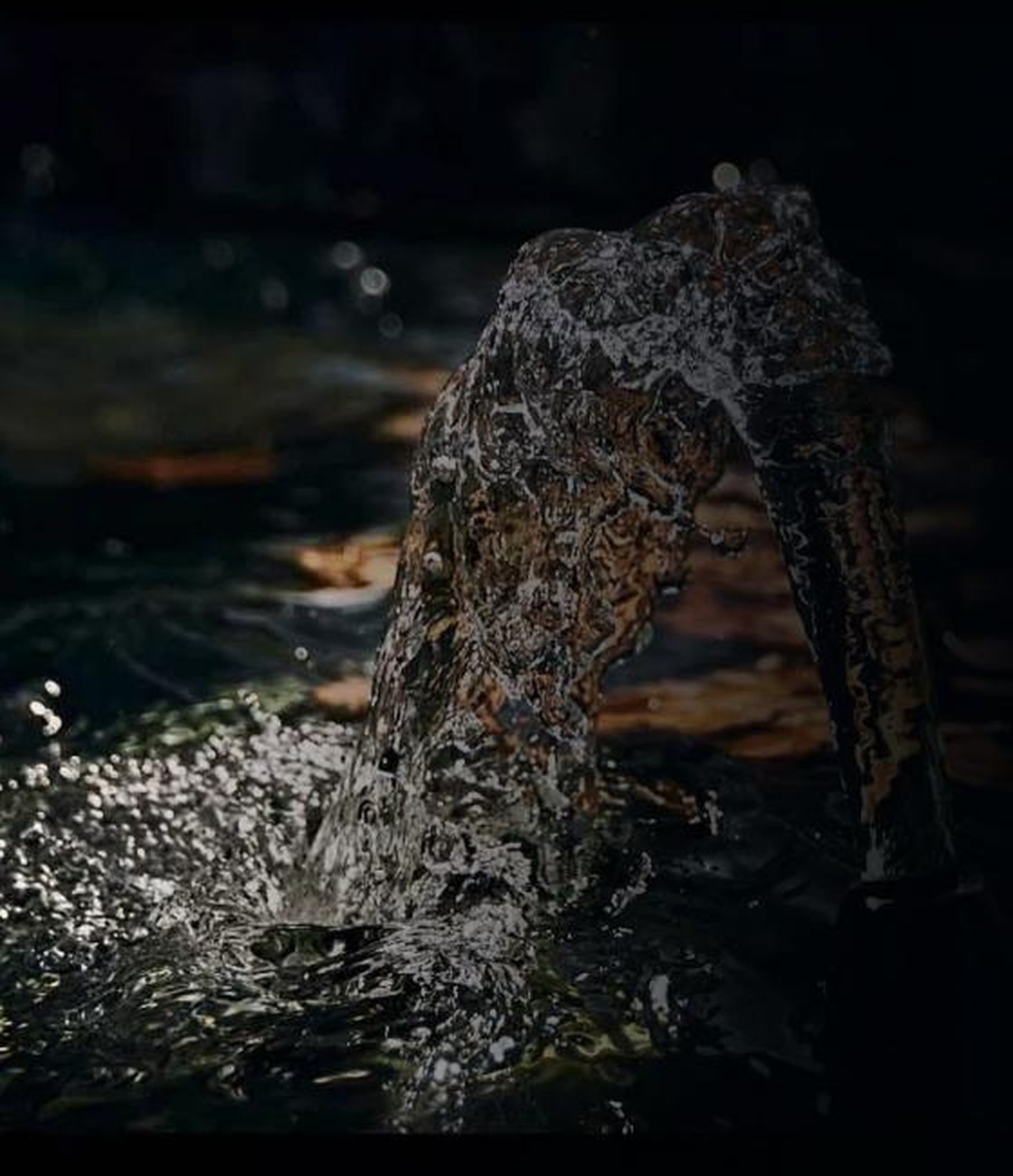 Water catching light